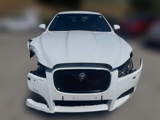 IMG-20250605-WA0013