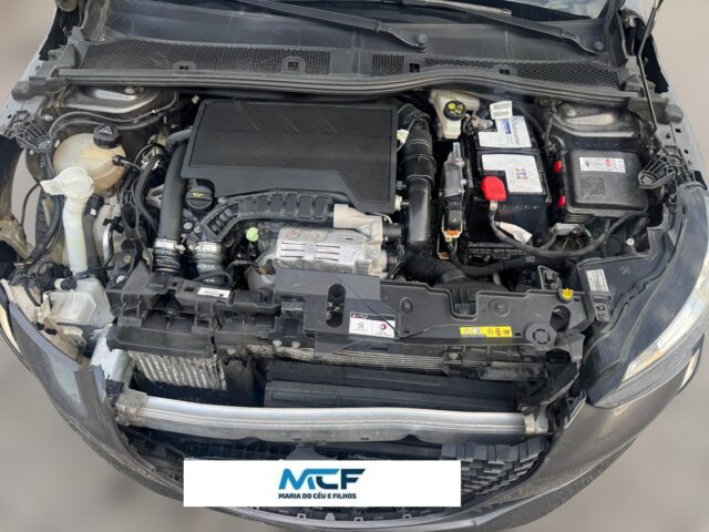 IMG-20250828-WA0016