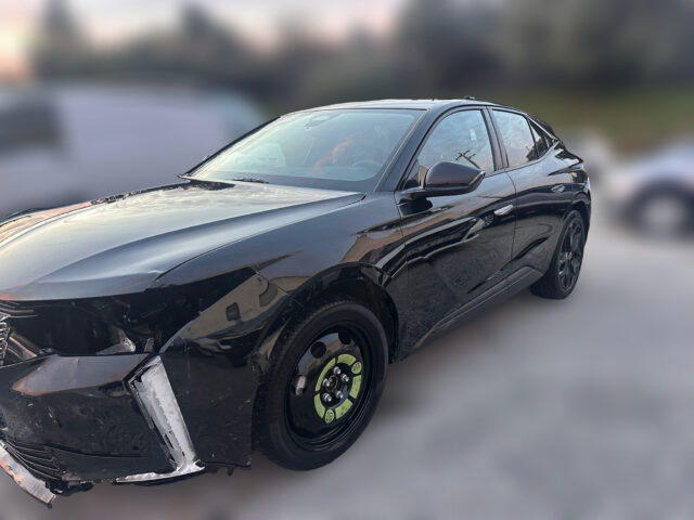 WhatsApp Image 2025-12-18 at 11.33.48 (1)