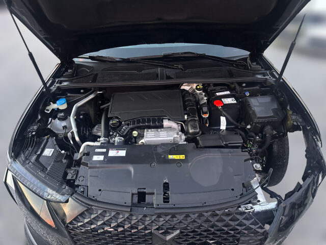 WhatsApp Image 2025-12-18 at 11.33.50 (1)