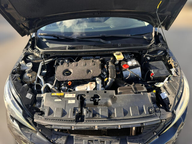 WhatsApp Image 2025-12-23 at 15.40.17 (4)