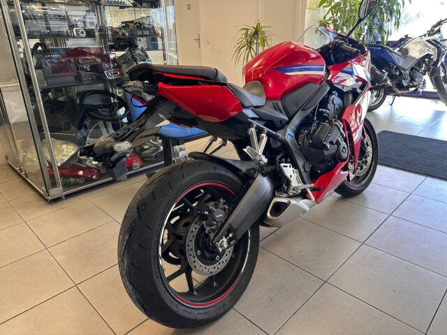 WhatsApp Image 2026-01-05 at 12.22.13 (5)