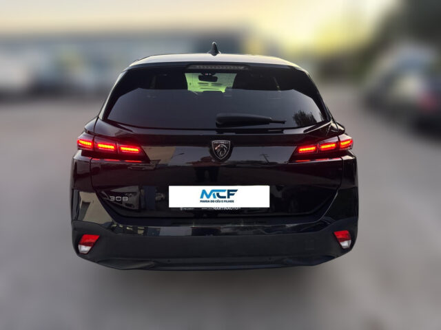 WhatsApp Image 2026-01-08 at 09.30.11 (2)