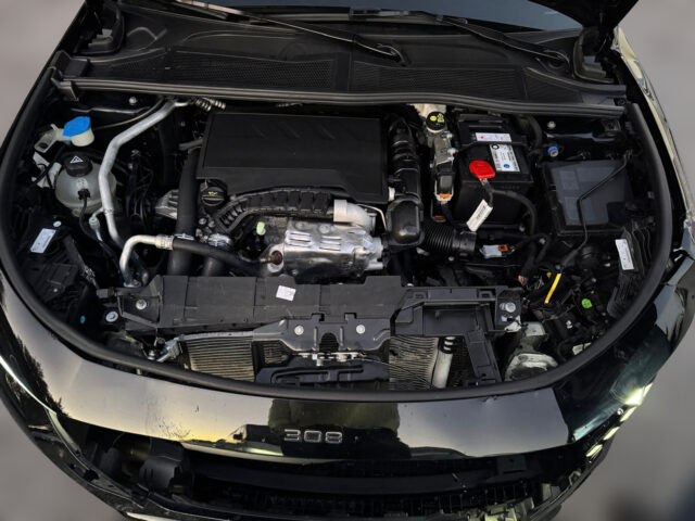 WhatsApp Image 2026-01-08 at 09.30.11 (6)