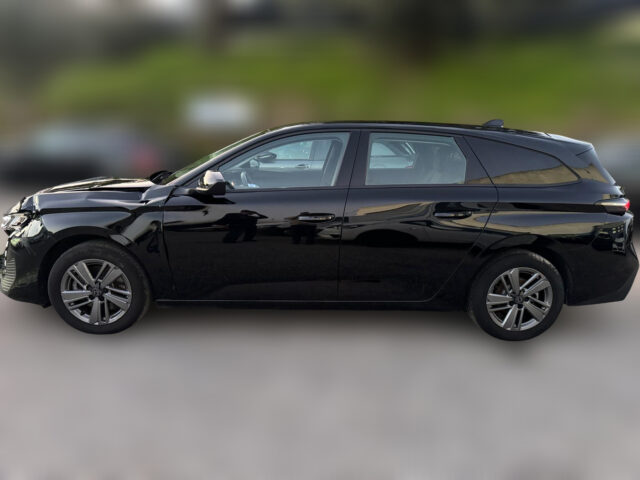 WhatsApp Image 2026-01-08 at 09.30.11