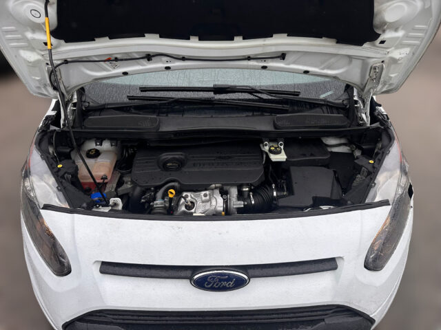 WhatsApp Image 2026-01-15 at 13.30.08 (3)