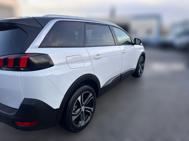 WhatsApp Image 2026-01-16 at 17.40.40 (2)