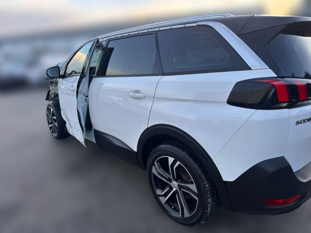 WhatsApp Image 2026-01-16 at 17.40.40