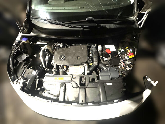 WhatsApp Image 2026-01-16 at 18.33.28