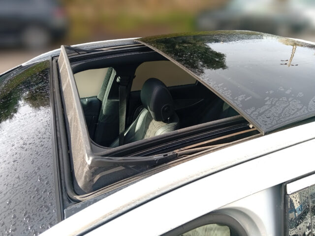 WhatsApp Image 2026-01-23 at 16.23.04