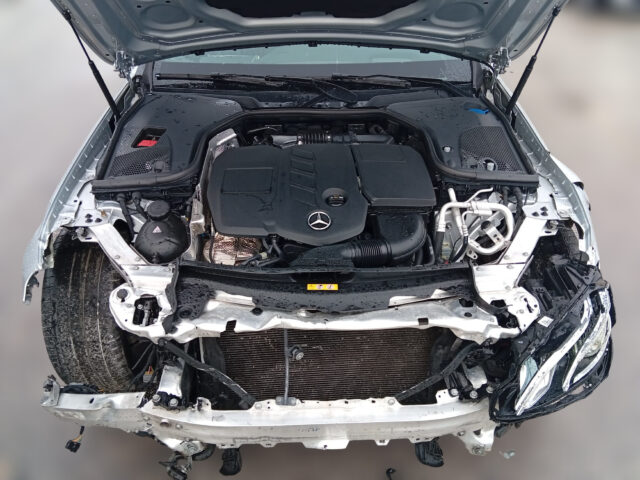 WhatsApp Image 2026-01-23 at 16.23.13