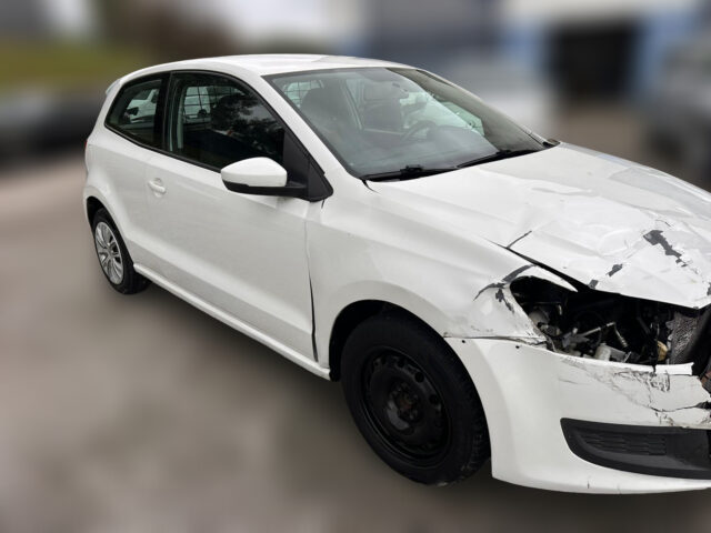 WhatsApp Image 2026-01-26 at 15.26.44 (4)