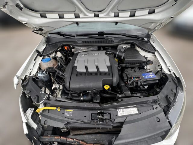 WhatsApp Image 2026-01-26 at 15.26.45