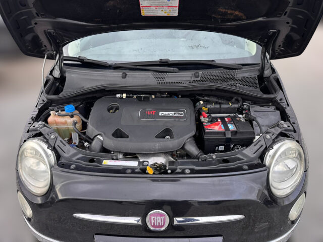 WhatsApp Image 2026-01-26 at 17.31.26 (8)