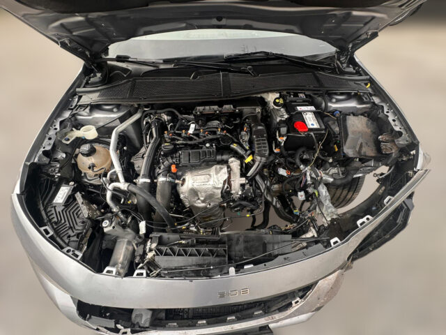 WhatsApp Image 2026-01-28 at 15.59.52