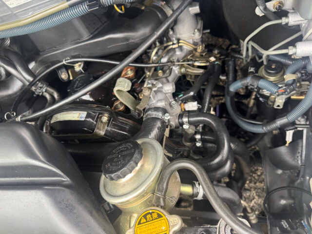 WhatsApp Image 2026-01-29 at 12.06.36 (8)