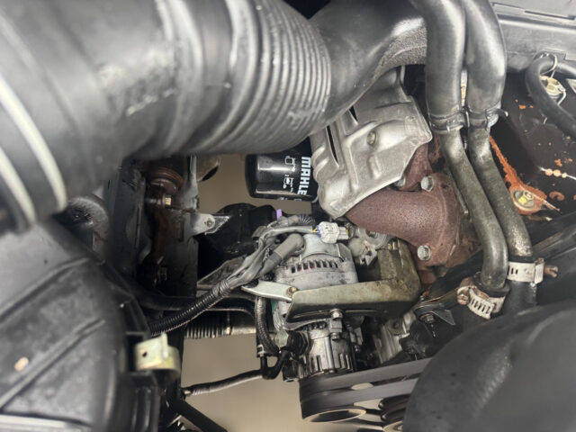 WhatsApp Image 2026-01-29 at 12.06.36 (9)