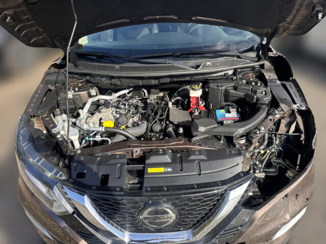 WhatsApp Image 2026-02-02 at 11.45.13