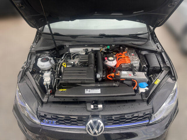 WhatsApp Image 2026-02-02 at 14.46.15