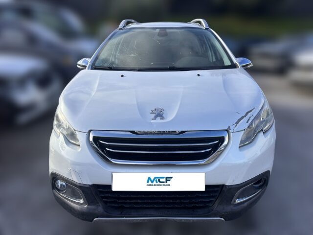 WhatsApp Image 2026-02-02 at 16.33.35