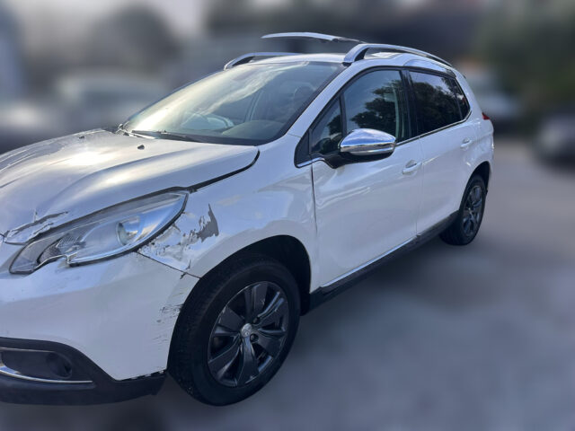 WhatsApp Image 2026-02-02 at 16.33.40