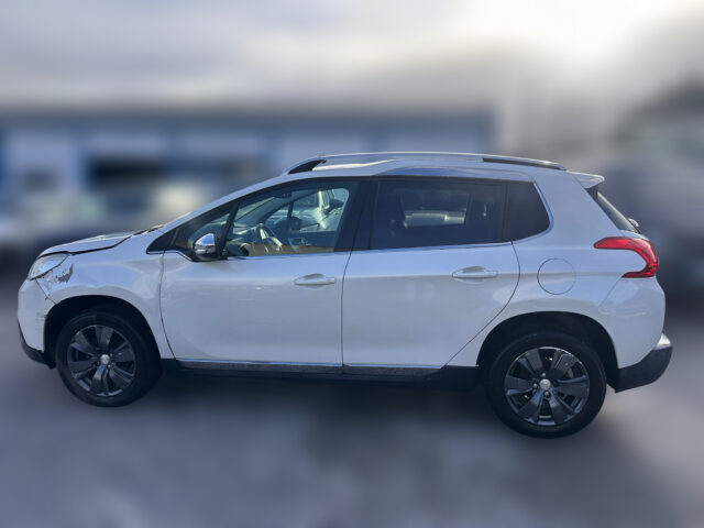 WhatsApp Image 2026-02-02 at 16.33.41