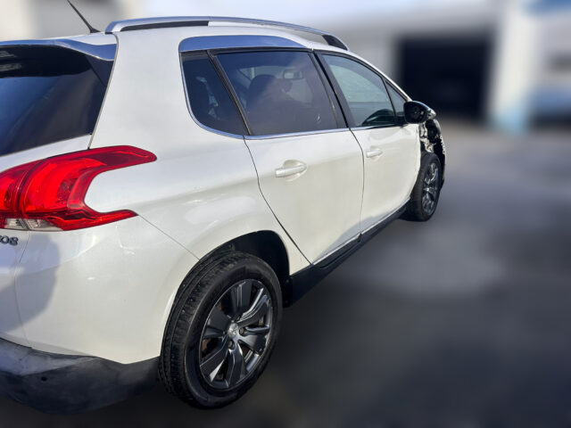 WhatsApp Image 2026-02-02 at 16.33.48 (2)