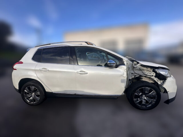 WhatsApp Image 2026-02-02 at 16.33.48 (3)