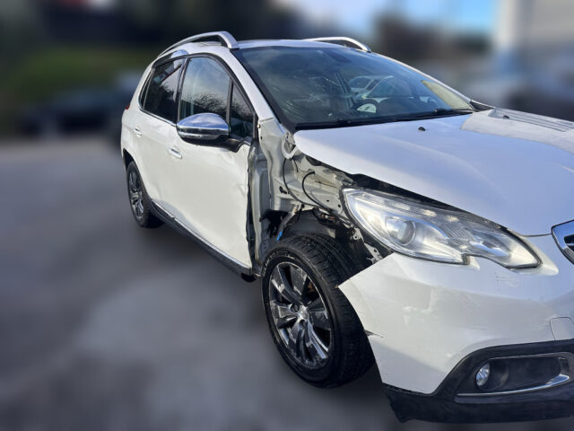 WhatsApp Image 2026-02-02 at 16.33.48 (4)