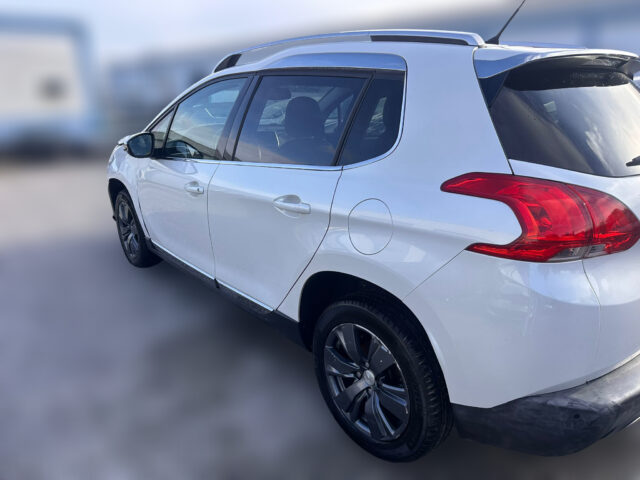 WhatsApp Image 2026-02-02 at 16.33.48