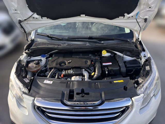 WhatsApp Image 2026-02-02 at 16.33.49