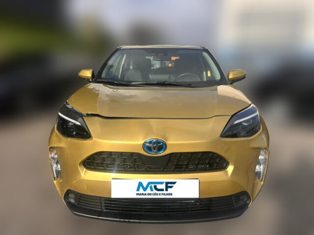 WhatsApp Image 2026-02-05 at 15.57.58