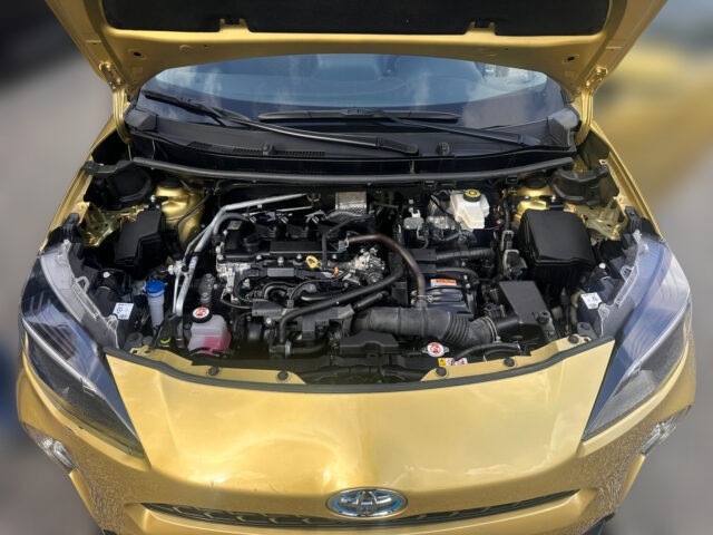 WhatsApp Image 2026-02-05 at 15.58.44 (2)