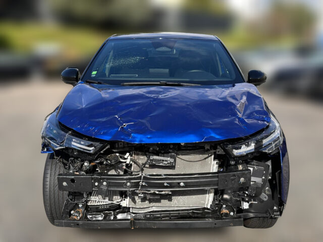 WhatsApp Image 2026-02-06 at 11.10.41