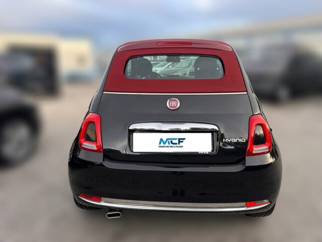 WhatsApp Image 2026-02-08 at 09.34.31 (8)