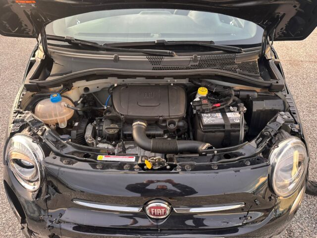 WhatsApp Image 2026-02-08 at 11.46.09