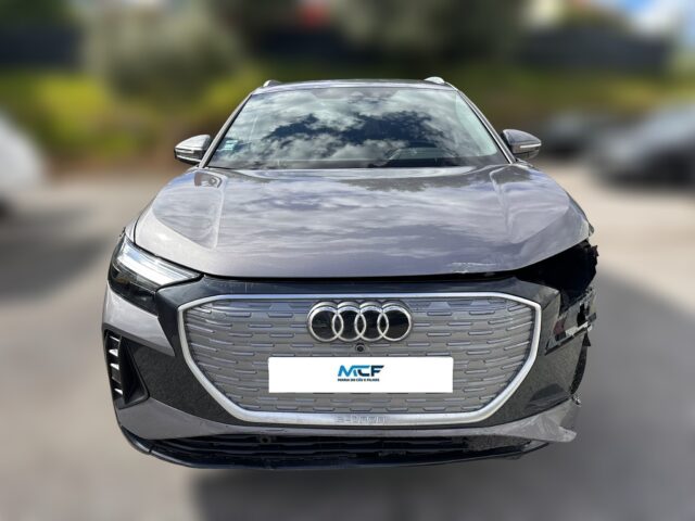 WhatsApp Image 2026-04-08 at 16.31.29