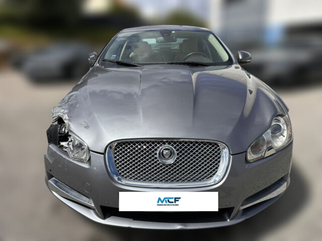 WhatsApp Image 2026-04-13 at 15.07.29