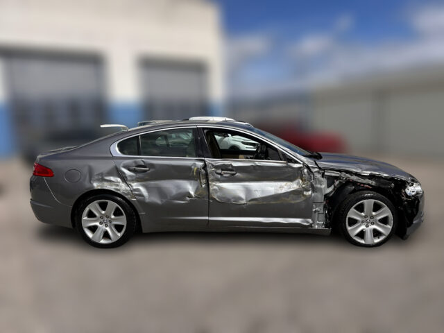 WhatsApp Image 2026-04-13 at 15.07.33