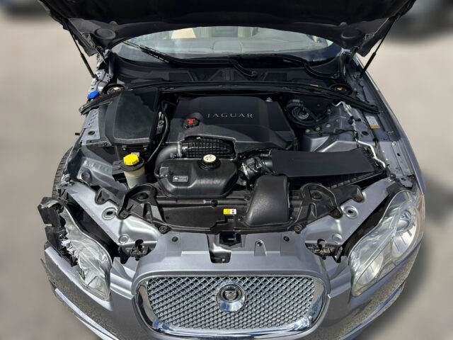 WhatsApp Image 2026-04-13 at 15.07.34