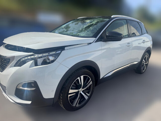 WhatsApp Image 2026-04-16 at 17.07.09