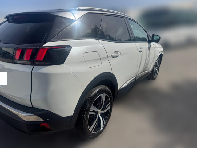 WhatsApp Image 2026-04-16 at 17.07.10 (3)