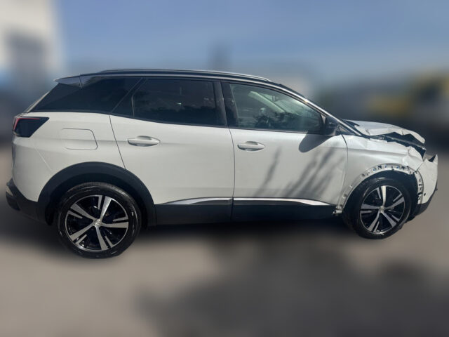 WhatsApp Image 2026-04-16 at 17.07.10 (4)