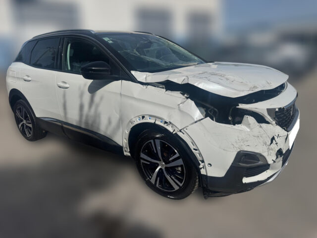 WhatsApp Image 2026-04-16 at 17.07.10 (5)