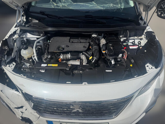 WhatsApp Image 2026-04-16 at 17.07.10 (6)