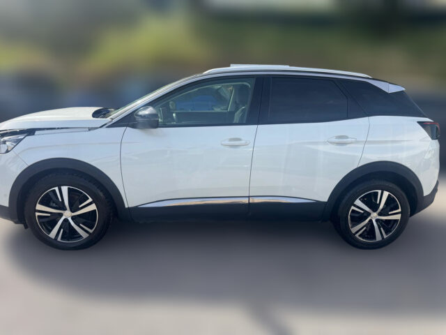 WhatsApp Image 2026-04-16 at 17.07.10