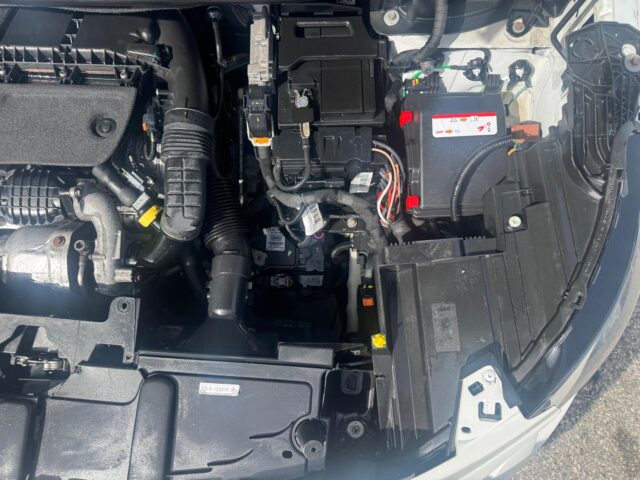 WhatsApp Image 2026-04-16 at 17.07.10 (8)