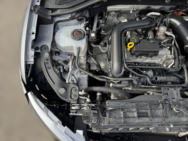 WhatsApp Image 2026-04-21 at 15.51.11 (7)